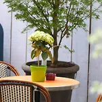 Hotel Vic Eiffel Hotel 3*