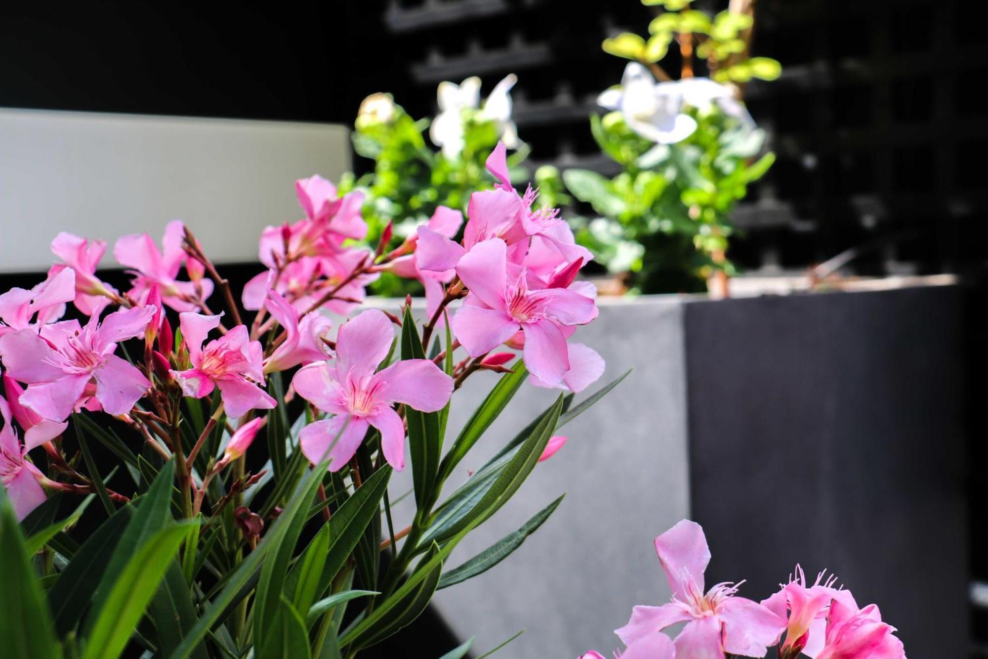 Vic Eiffel Hotel Parigi